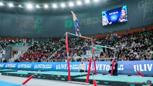 grand prix della ginnastica 0371 sfe06618 copia simone ferraro ph